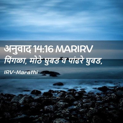 Picture 02 - अनुवाद 14:16 MARIRV - पिंगळा, मोठे घुबड व - Bible Verse Picture