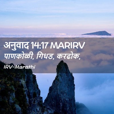 Picture 02 - अनुवाद 14:17 MARIRV - पाणकोळी, गिधड, - Bible Verse Picture