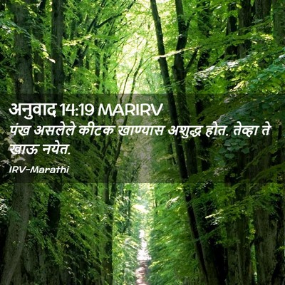 Picture 02 - अनुवाद 14:19 MARIRV - पंख असलेले कीटक - Bible Verse Picture