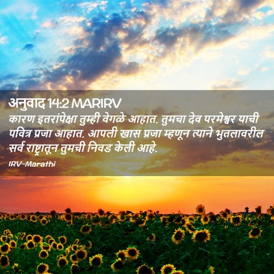 Picture 02 - अनुवाद 14:2 MARIRV - कारण इतरांपेक्षा - Bible Verse Picture