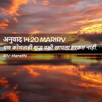 Picture 02 - अनुवाद 14:20 MARIRV - पण कोणताही शुद्ध - Bible Verse Picture