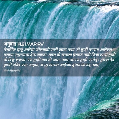 Picture 02 - अनुवाद 14:21 MARIRV - नैसर्गिक मृत्यू - Bible Verse Picture