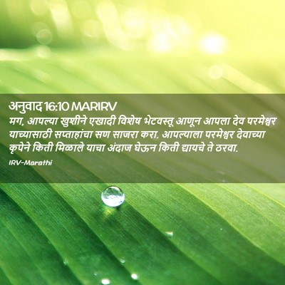 Picture 02 - अनुवाद 16:10 MARIRV - मग, आपल्या खुशीने - Bible Verse Picture