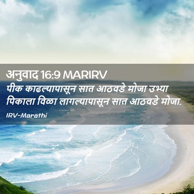 Picture 02 - अनुवाद 16:9 MARIRV - पीक काढल्यापासून - Bible Verse Picture