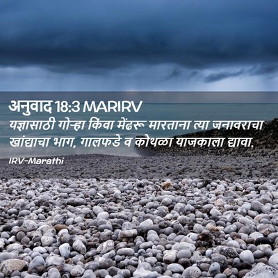 Picture 02 - अनुवाद 18:3 MARIRV - यज्ञासाठी गोऱ्हा - Bible Verse Picture