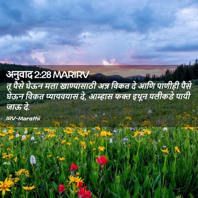 Picture 02 - अनुवाद 2:28 MARIRV - तू पैसे घेऊन मला - Bible Verse Picture