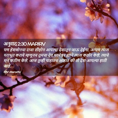 Picture 02 - अनुवाद 2:30 MARIRV - पण हेशबोनचा राजा - Bible Verse Picture