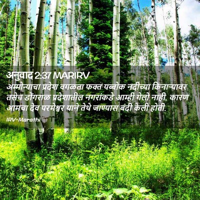 Picture 02 - अनुवाद 2:37 MARIRV - अम्मोन्याचा - Bible Verse Picture