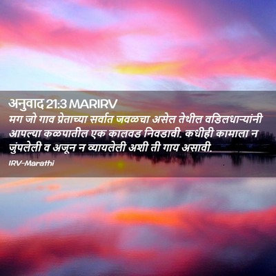 Picture 02 - अनुवाद 21:3 MARIRV - मग जो गाव - Bible Verse Picture