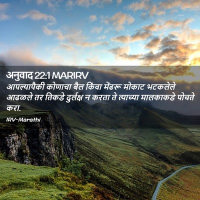 Picture 02 - अनुवाद 22:1 MARIRV - आपल्यापैकी कोणाचा - Bible Verse Picture