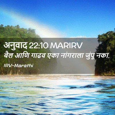 Picture 02 - अनुवाद 22:10 MARIRV - बैल आणि गाढव एका - Bible Verse Picture