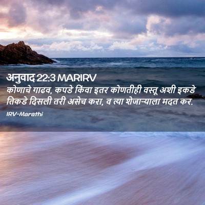 Picture 02 - अनुवाद 22:3 MARIRV - कोणाचे गाढव, कपडे - Bible Verse Picture