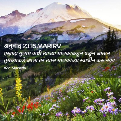 Picture 02 - अनुवाद 23:15 MARIRV - एखादा गुलाम कधी - Bible Verse Picture