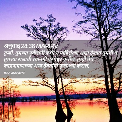 Picture 02 - अनुवाद 28:36 MARIRV - तुम्ही, तुमच्या - Bible Verse Picture