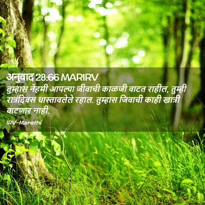 Picture 02 - अनुवाद 28:66 MARIRV - तुम्हास नेहमी - Bible Verse Picture