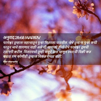 Picture 02 - अनुवाद 28:68 MARIRV - परमेश्वर तुम्हास - Bible Verse Picture