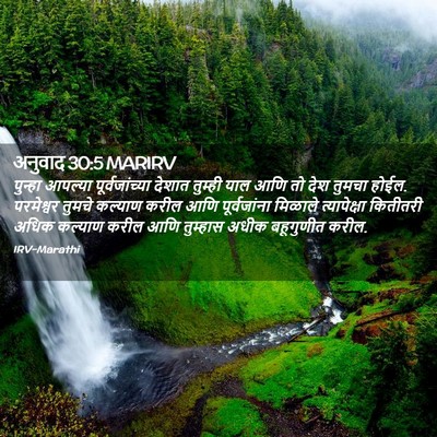 Picture 02 - अनुवाद 30:5 MARIRV - पुन्हा आपल्या - Bible Verse Picture