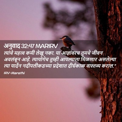 Picture 02 - अनुवाद 32:47 MARIRV - त्यांचे महत्व कमी - Bible Verse Picture