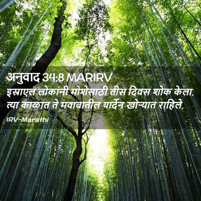 Picture 02 - अनुवाद 34:8 MARIRV - इस्राएल लोकांनी - Bible Verse Picture