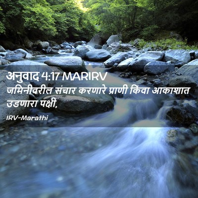 Picture 02 - अनुवाद 4:17 MARIRV - जमिनीवरील संचार - Bible Verse Picture