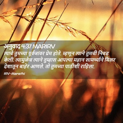 Picture 02 - अनुवाद 4:37 MARIRV - त्याचे तुमच्या - Bible Verse Picture