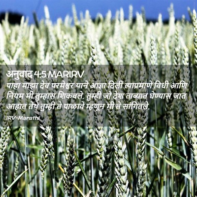 Picture 02 - अनुवाद 4:5 MARIRV - पाहा माझा देव - Bible Verse Picture