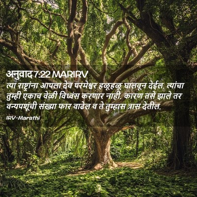 Picture 02 - अनुवाद 7:22 MARIRV - त्या राष्ट्रांना - Bible Verse Picture