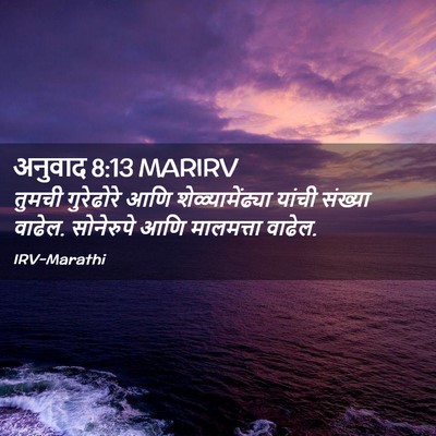 Picture 02 - अनुवाद 8:13 MARIRV - तुमची गुरेढोरे - Bible Verse Picture