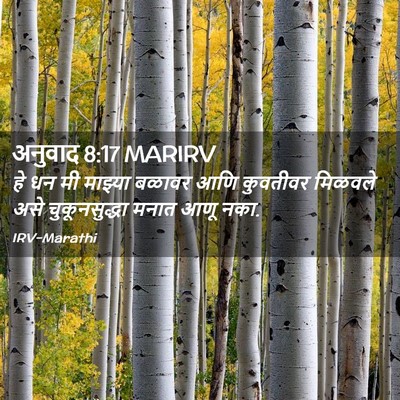 Picture 02 - अनुवाद 8:17 MARIRV - हे धन मी माझ्या - Bible Verse Picture