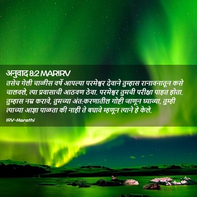 Picture 02 - अनुवाद 8:2 MARIRV - तसेच गेली चाळीस - Bible Verse Picture