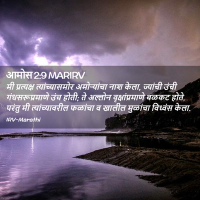 Picture 02 - आमोस 2:9 MARIRV - मी प्रत्यक्ष - Bible Verse Picture