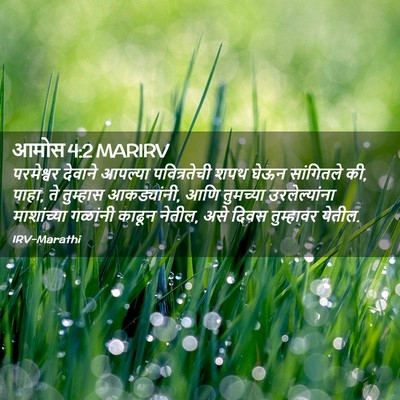 Picture 02 - आमोस 4:2 MARIRV - परमेश्वर देवाने - Bible Verse Picture