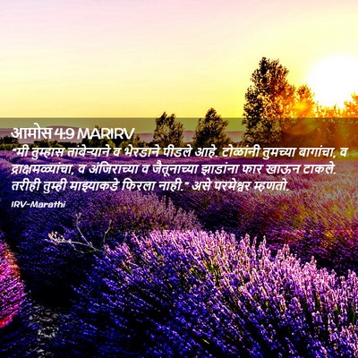Picture 02 - आमोस 4:9 MARIRV - “मी तुम्हास - Bible Verse Picture