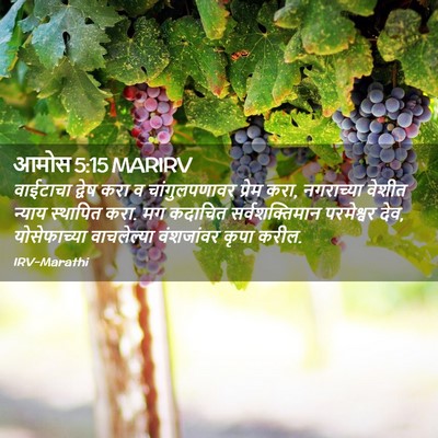 Picture 02 - आमोस 5:15 MARIRV - वाईटाचा द्वेष करा - Bible Verse Picture
