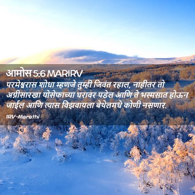 Picture 02 - आमोस 5:6 MARIRV - परमेश्वरास शोधा - Bible Verse Picture