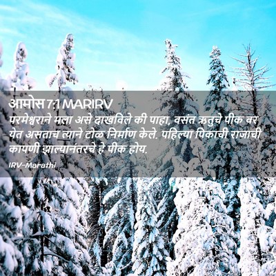 Picture 02 - आमोस 7:1 MARIRV - परमेश्वराने मला - Bible Verse Picture
