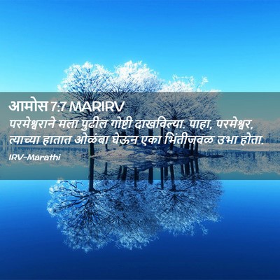 Picture 02 - आमोस 7:7 MARIRV - परमेश्वराने मला - Bible Verse Picture