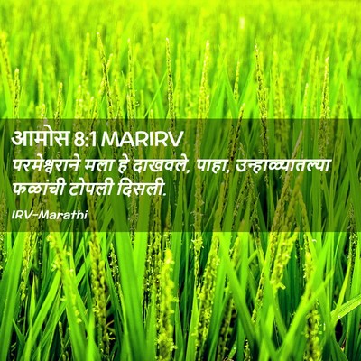 Picture 02 - आमोस 8:1 MARIRV - परमेश्वराने मला - Bible Verse Picture