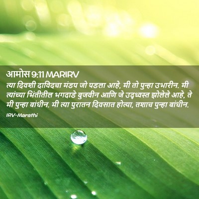 Picture 02 - आमोस 9:11 MARIRV - त्या दिवशी - Bible Verse Picture
