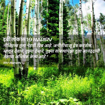 Picture 02 - इब्री लोकांस 1:9 MARIRV - नीतिमत्त्व तुला - Bible Verse Picture