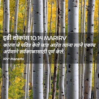 Picture 02 - इब्री लोकांस 10:14 MARIRV - कारण जे पवित्र - Bible Verse Picture