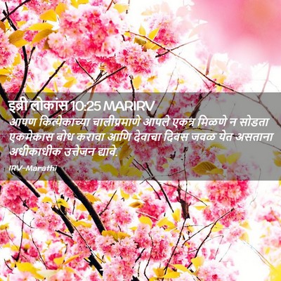 Picture 02 - इब्री लोकांस 10:25 MARIRV - आपण कित्येकाच्या - Bible Verse Picture