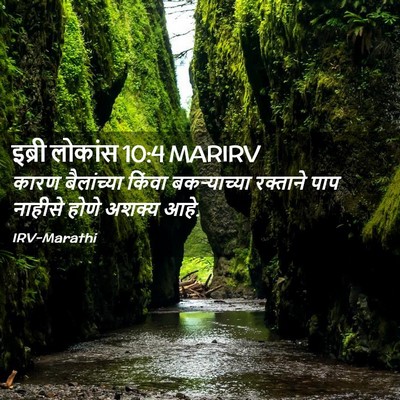 Picture 02 - इब्री लोकांस 10:4 MARIRV - कारण बैलांच्या - Bible Verse Picture