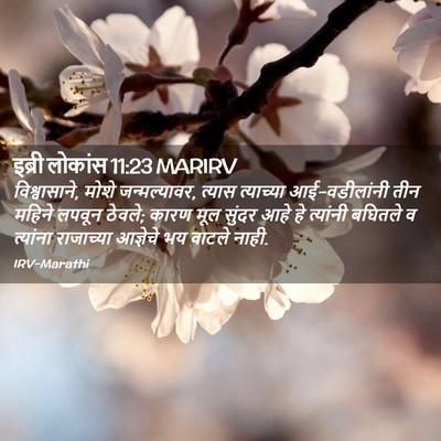 Picture 02 - इब्री लोकांस 11:23 MARIRV - विश्वासाने, मोशे - Bible Verse Picture
