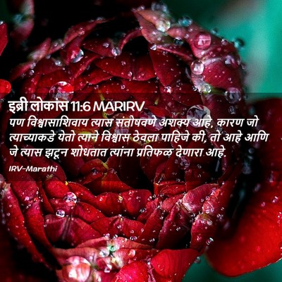Picture 02 - इब्री लोकांस 11:6 MARIRV - पण विश्वासाशिवाय - Bible Verse Picture