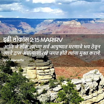 Picture 02 - इब्री लोकांस 2:15 MARIRV - आणि जे लोक - Bible Verse Picture