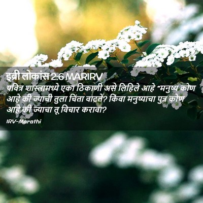 Picture 02 - इब्री लोकांस 2:6 MARIRV - पवित्र - Bible Verse Picture