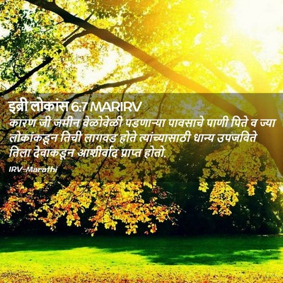 Picture 02 - इब्री लोकांस 6:7 MARIRV - कारण जी जमीन - Bible Verse Picture