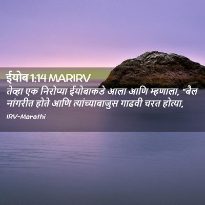 Picture 02 - ईयोब 1:14 MARIRV - तेव्हा एक - Bible Verse Picture