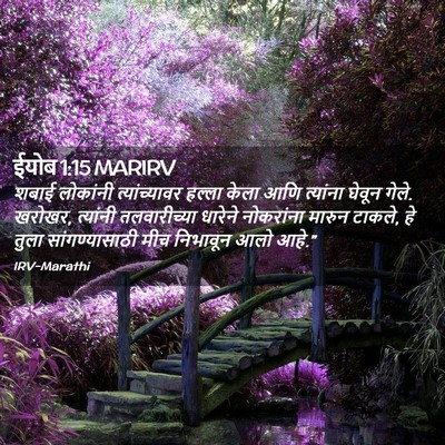 Picture 02 - ईयोब 1:15 MARIRV - शबाई लोकांनी - Bible Verse Picture